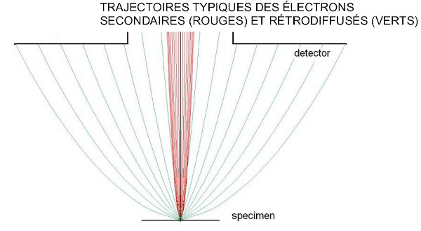 meb schema deceleration