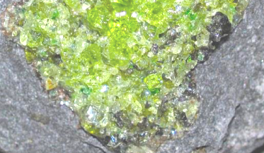 Olivine